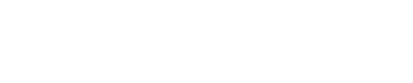 Vigloo_Logo_W